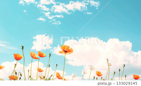 青空に浮かぶ雲とポピー 133029145