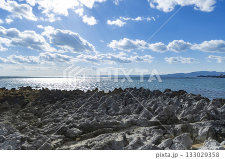 気仙沼市岩井崎海岸龍の松 133029358