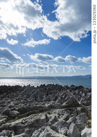 気仙沼市岩井崎海岸龍の松 133029360