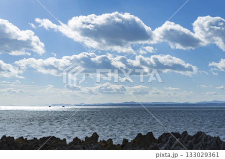 気仙沼市岩井崎海岸龍の松 133029361