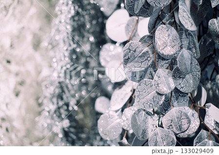 Close-up of frosted silver eucalyptus-style leaves used as decorative holiday foliage against a sparkling tinsel backdrop. Metallic winter florals, glittered botanical decor, holiday interior 133029409
