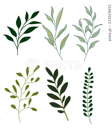Set of six green botanical branches with different leaf shapes drawn in flat vector style Set of six green botanical branches with different leaf shapes drawn in flat vector style 133029452