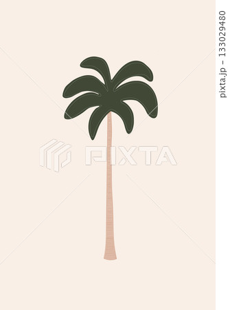 Tall palm tree with dark green leaves and straight brown trunk on beige background 133029480