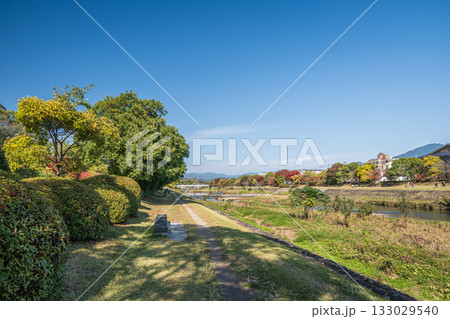 秋の鴨川風景　京都市 133029540