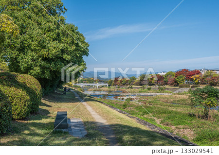 秋の鴨川風景　京都市 133029541