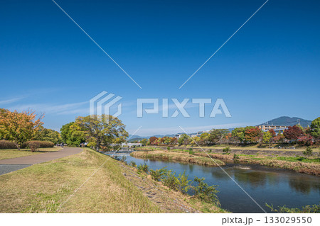 秋の鴨川風景　京都市 133029550