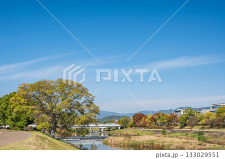 秋の鴨川風景　京都市 133029551