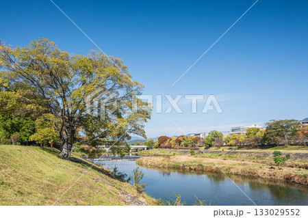 秋の鴨川風景　京都市 133029552
