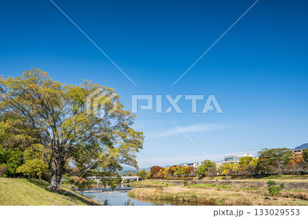 秋の鴨川風景　京都市 133029553