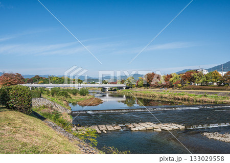 秋の鴨川風景　京都市 133029558