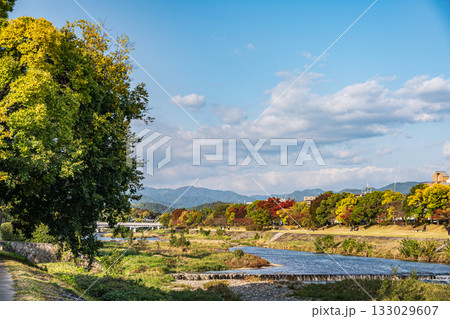 秋の鴨川風景　京都市 133029607