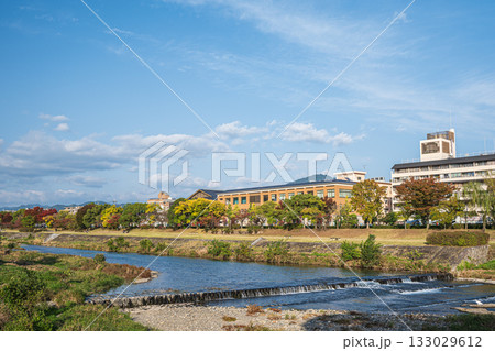 秋の鴨川風景　京都市 133029612
