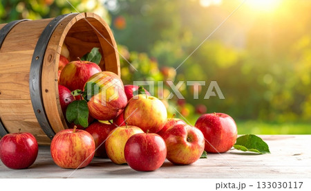 Colorful autumn still life in a wicker basket with corn, pumpkins, fresh grapes, apples and berries. Colorful autumn still life in a wicker basket with corn, pumpkins, fresh grapes, apples and berries. 133030117
