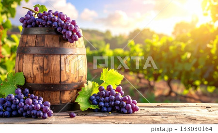 Freshly harvested red and green grapes from the vineyard are placed on a wooden table and spill out of wooden barrels. 133030164