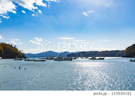 南三陸町志津川 細浦漁港 南三陸町志津川 細浦漁港 133030191