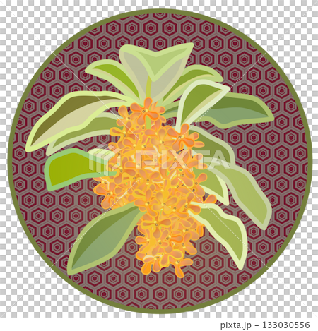 Illustration of osmanthus with circular background Illustration of osmanthus with circular background 133030556