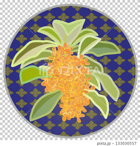 Illustration of osmanthus with circular background Illustration of osmanthus with circular background 133030557