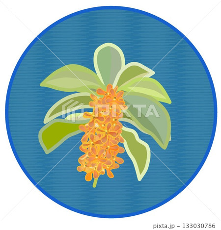 円形背景のついた金木犀のイラスト 133030786