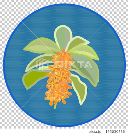 円形背景のついた金木犀のイラスト 133030786