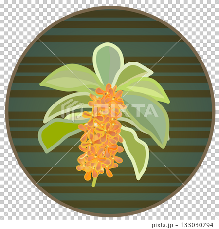 円形背景のついた金木犀のイラスト 133030794