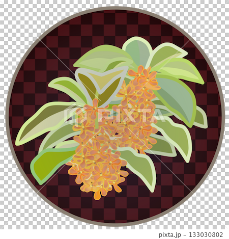 Illustration of osmanthus with circular background Illustration of osmanthus with circular background 133030802