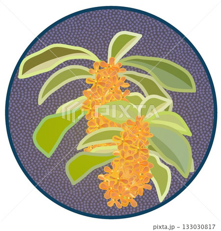 円形背景のついた金木犀のイラスト 円形背景のついた金木犀のイラスト 133030817