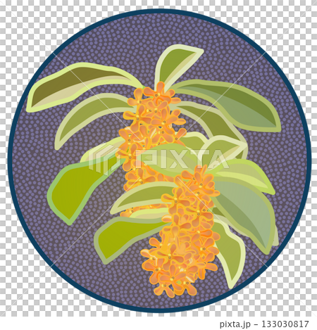 円形背景のついた金木犀のイラスト 円形背景のついた金木犀のイラスト 133030817