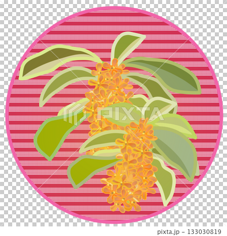 桂花插圖,背景為圓形 桂花插圖,背景為圓形 133030819