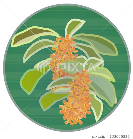 円形背景のついた金木犀のイラスト 133030825