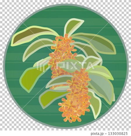 円形背景のついた金木犀のイラスト 133030825