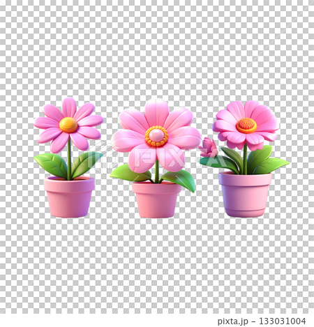 Pink cyclamen flower in pot on white background Pink cyclamen flower in pot on white background 133031004