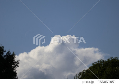 緑の木々と白い雲と青空の風景 133031051