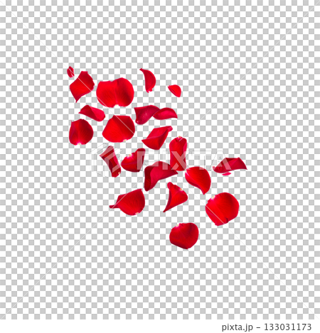 Red rose petals scattered on a white background Red rose petals scattered on a white background 133031173