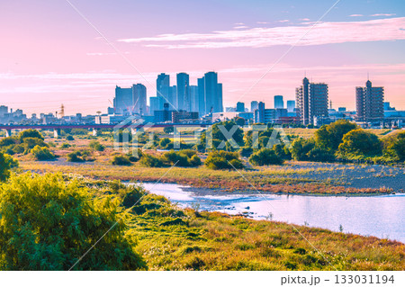 日本の東京都市景観11月12日。早朝の多摩川やススキ、武蔵小杉駅前のタワーマンション群など望む 133031194