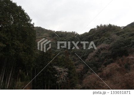 2025年・香川・観音寺・大野原・風景・豊稔池堰堤・其の二 133031871