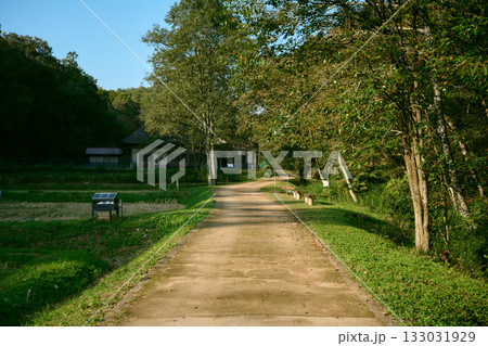 西谷の森公園 133031929