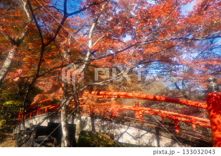 秋の伊香保温泉 紅葉の河鹿橋 秋の伊香保温泉 紅葉の河鹿橋 133032043