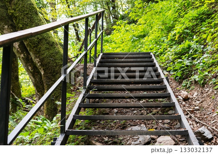 A metal staircase leads through a lush green forest. The steps are surrounded by trees and dense foliage, creating a natural pathway. A metal staircase leads through a lush green forest. The steps are surrounded by trees and dense foliage, creating a natural pathway. 133032137