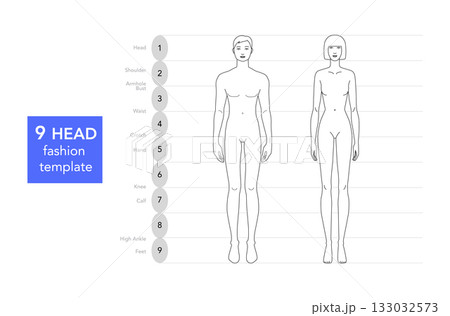 Vector illustration of a 9 head man and woman, front view. Perfect for fashion sketches, anatomy reference, and style 133032573