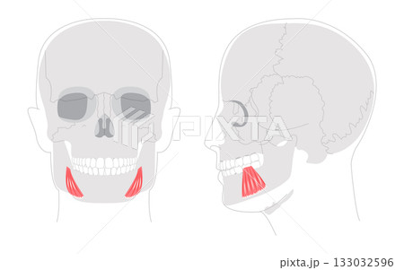 Depressor anguli oris - Human facial muscle diagram that depresses the corners of the mouth contributing to frowning Depressor anguli oris - Human facial muscle diagram that depresses the corners of the mouth contributing to frowning 133032596