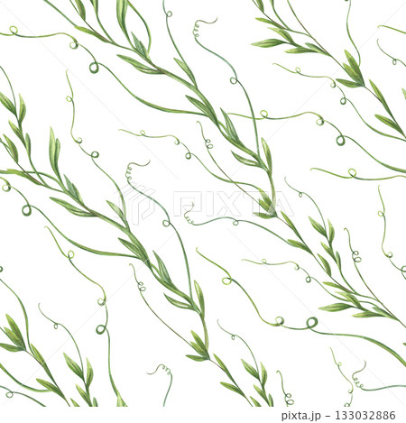 Watercolor floral seamless pattern on isolated background. Climbing spring intertwining pea or bindweed growth in diagonal direction. Herbaceous liana plant ornate for wallpaper, textile print 133032886