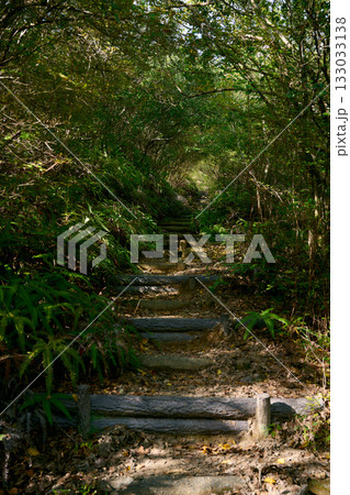 三草山の登山道 133033138