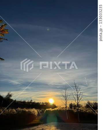 Golden Sunset Over Winter Landscape and Barren Trees Golden Sunset Over Winter Landscape and Barren Trees 133033235