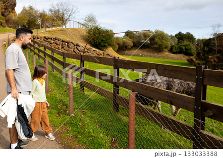 Young hispanic male and child watching ostrich at zoo enclosure Young hispanic male and child watching ostrich at zoo enclosure 133033388
