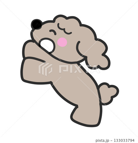 嬉しそうに懐くトイプードル 嬉しそうに懐くトイプードル 133033794