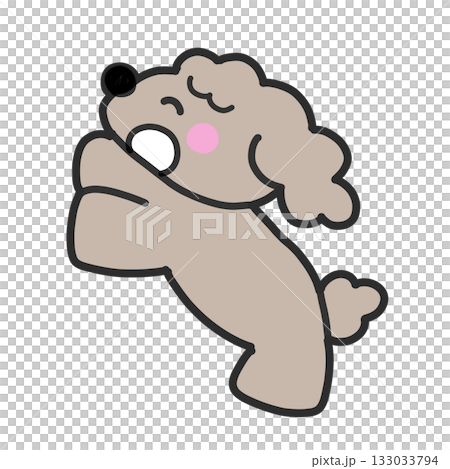 嬉しそうに懐くトイプードル 嬉しそうに懐くトイプードル 133033794