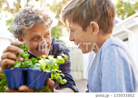 Elderly man planting herbs with a child in garden for agriculture, sustainability or gardening. Nature, bonding and senior male person checking plants and teaching a boy kid in the backyard at home. Elderly man planting herbs with a child in garden for agriculture, sustainability or gardening. Nature, bonding and senior male person checking plants and teaching a boy kid in the backyard at home. 133033802