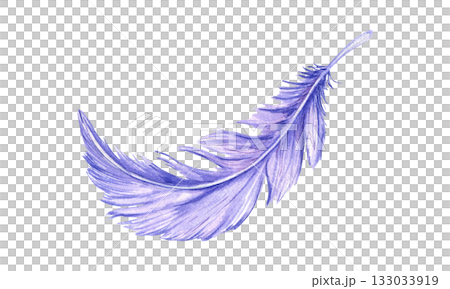 Watercolor purple bird feathers illustration in realistic style. Hand painted colored fluffy bird plume on isolated background. Natural element for carnival mask decor, dreamcatcher, ethnic design. Watercolor purple bird feathers illustration in realistic style. Hand painted colored fluffy bird plume on isolated background. Natural element for carnival mask decor, dreamcatcher, ethnic design. 133033919