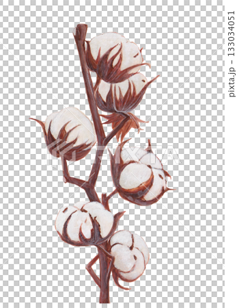 コットンフラワー手描き 133034051