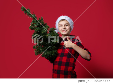 Cheerful boy in Santa hat and red plaid shirt holding ,thumbs up, sign approval like, small artificial Christmas tree pointing red background Cheerful boy in Santa hat and red plaid shirt holding ,thumbs up, sign approval like, small artificial Christmas tree pointing red background 133034577